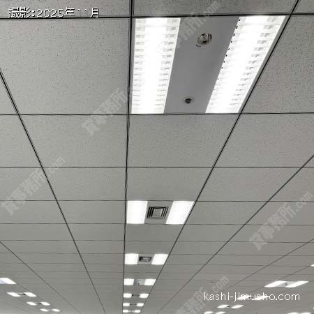 グリッド天井 グリッド天井