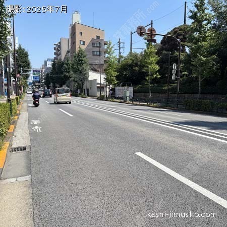 前面道路(目白通り）