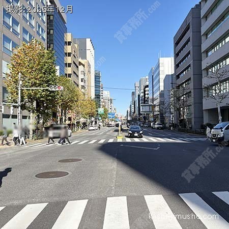 前面道路(新大橋通り）