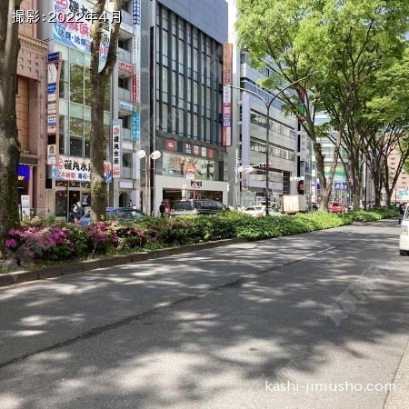 前面道路(北口大通り)