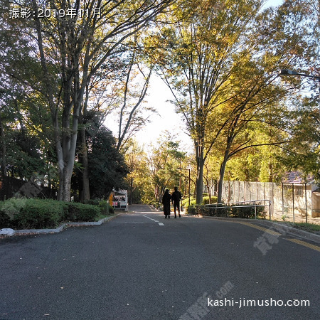 前面道路 前面道路