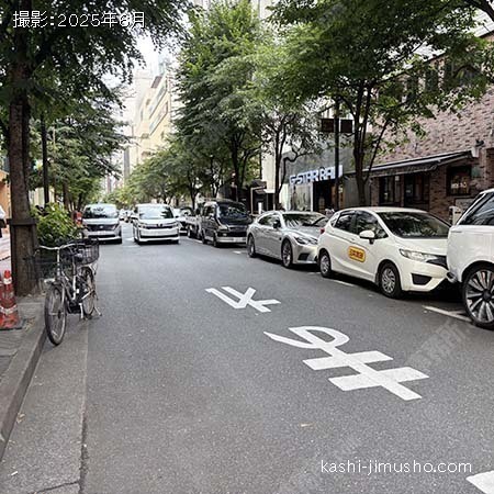 前面道路(並木通り）
