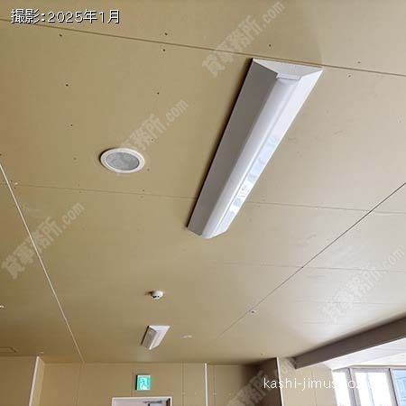 照明