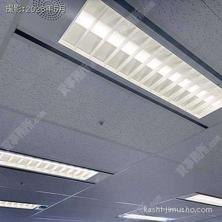 照明 照明