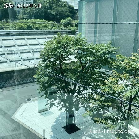 眺望(2階)
