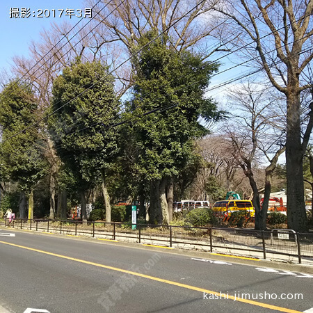 目の前公園