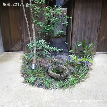 敷地内植栽