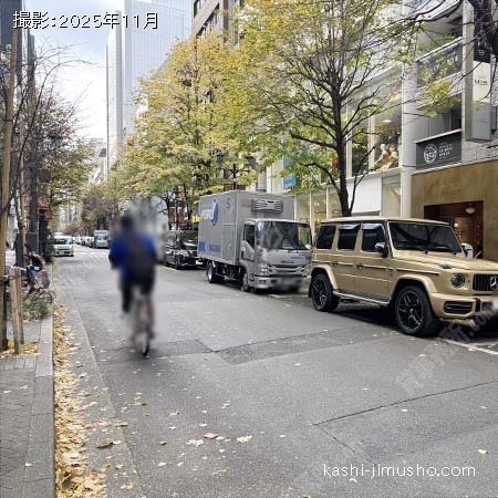 前面道路(並木通り) 前面道路(並木通り)