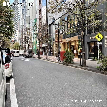 前面道路(並木通り) 前面道路(並木通り)