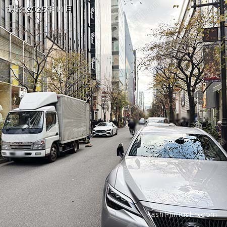 前面道路(並木通り) 前面道路(並木通り)