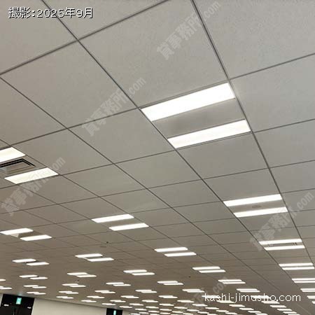 グリッド天井