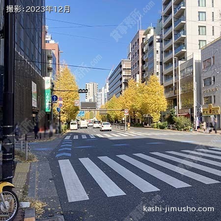 前面道路(本郷通り）