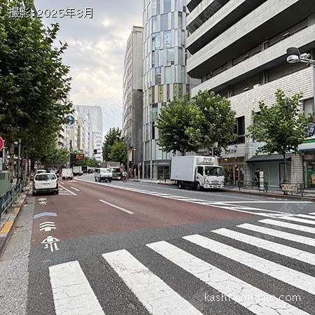 前面道路(新宿通り）