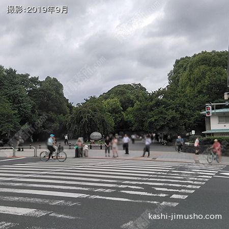 周辺環境(上野公園)