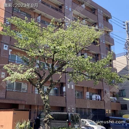 建物前面