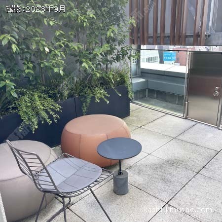 屋上 屋上