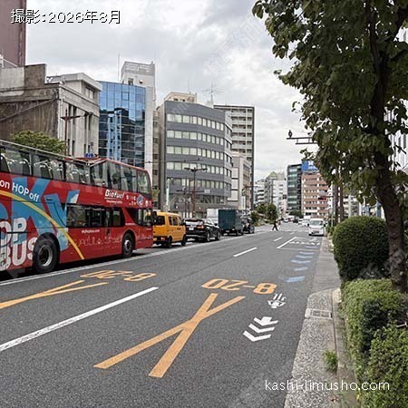  前面道路(江戸通り)