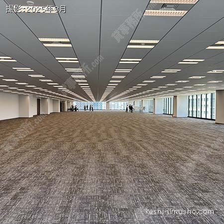 貸室内(11階)