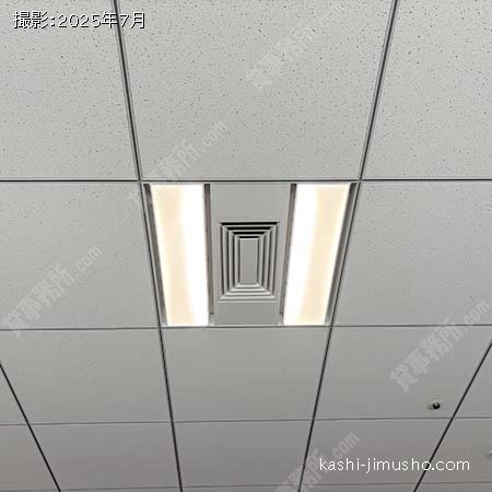 照明(11階）