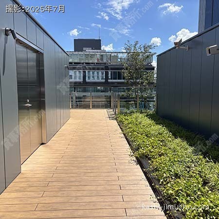 屋上