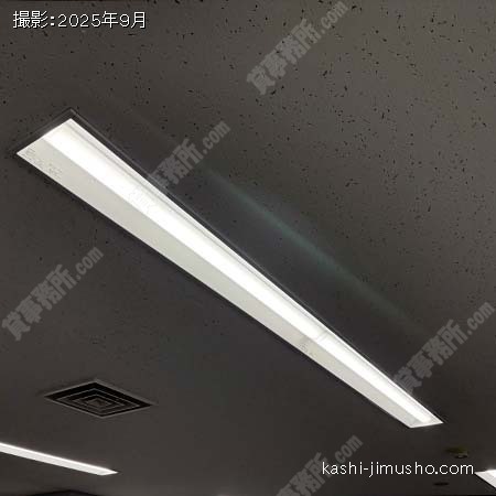 照明