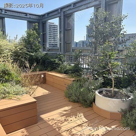 屋上テラス