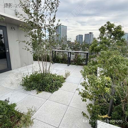 屋上