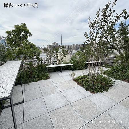 屋上