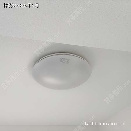 照明