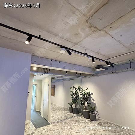 照明 照明