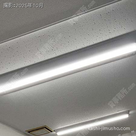 照明(1階) 照明(1階)