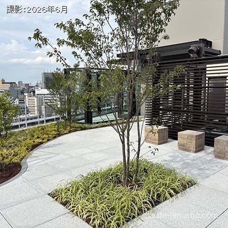 屋上テラス