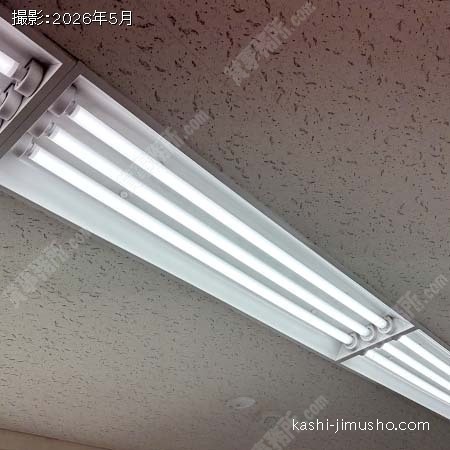 照明 照明
