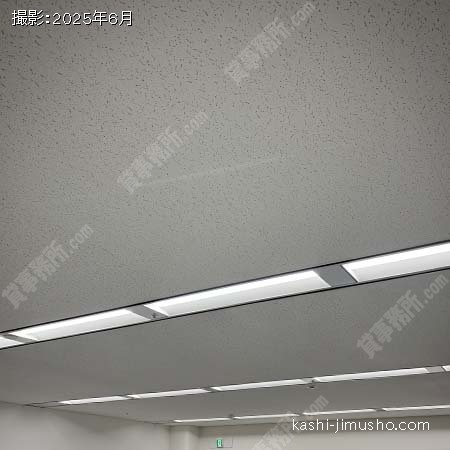 照明
