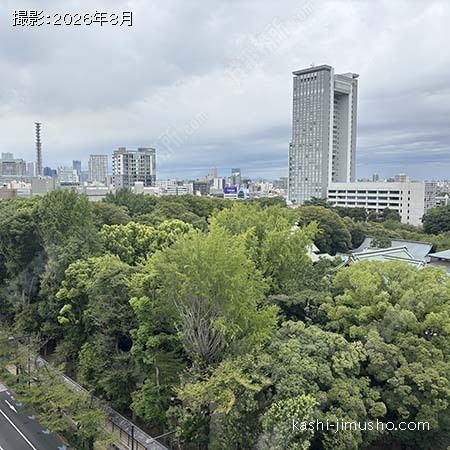 眺望(10階)