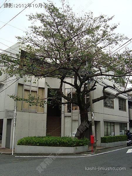 Ｋ’ＳＢＬＯＳＳＯＭの外観