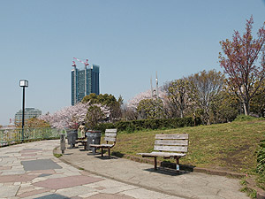 西郷山公園