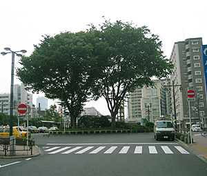 北エリアの景観